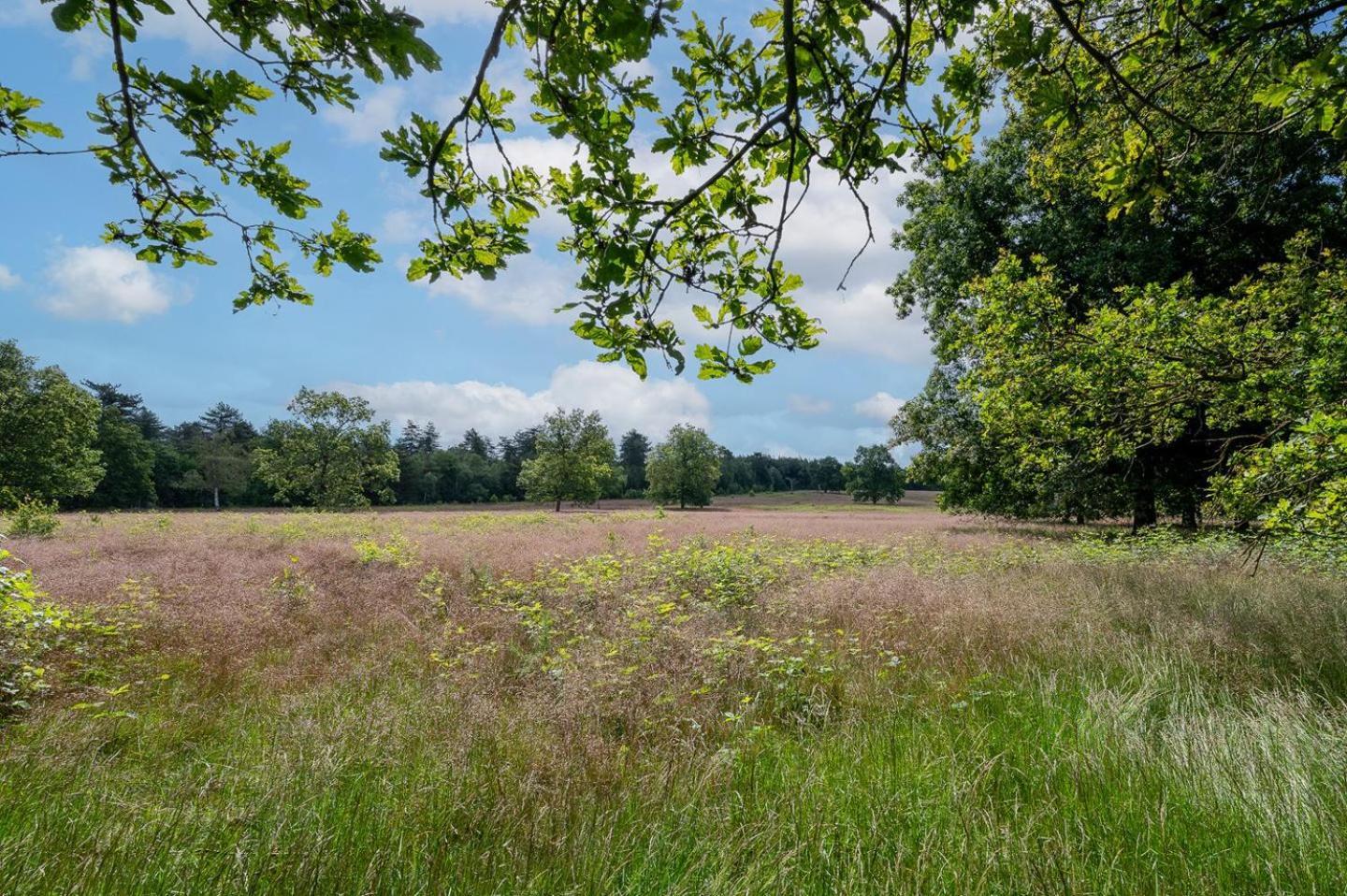 Landhuisje 31 'De Akkersteen' Bospark Ijsselheide Zwolle Hattemerbroek المظهر الخارجي الصورة